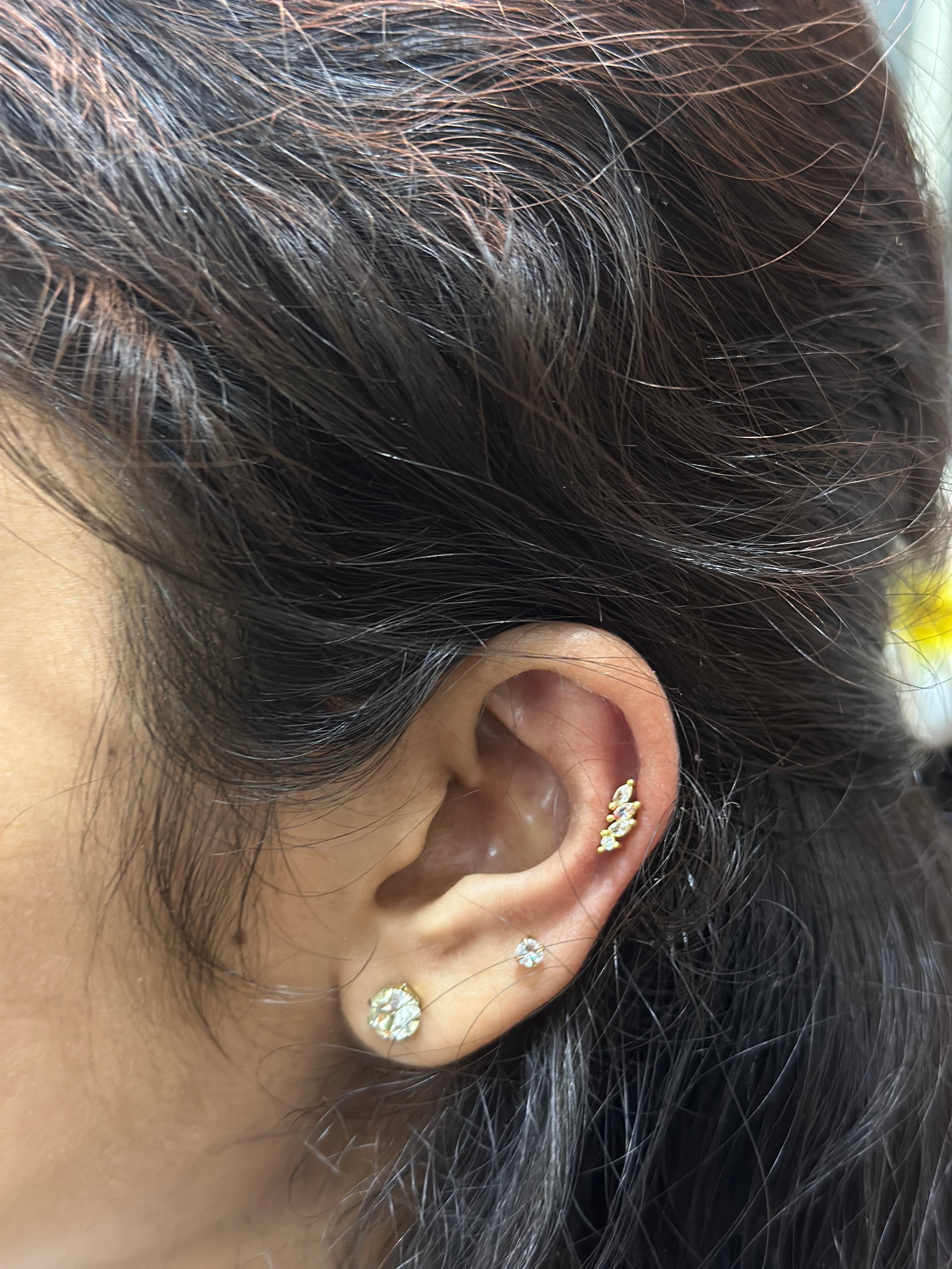 Helix & conch